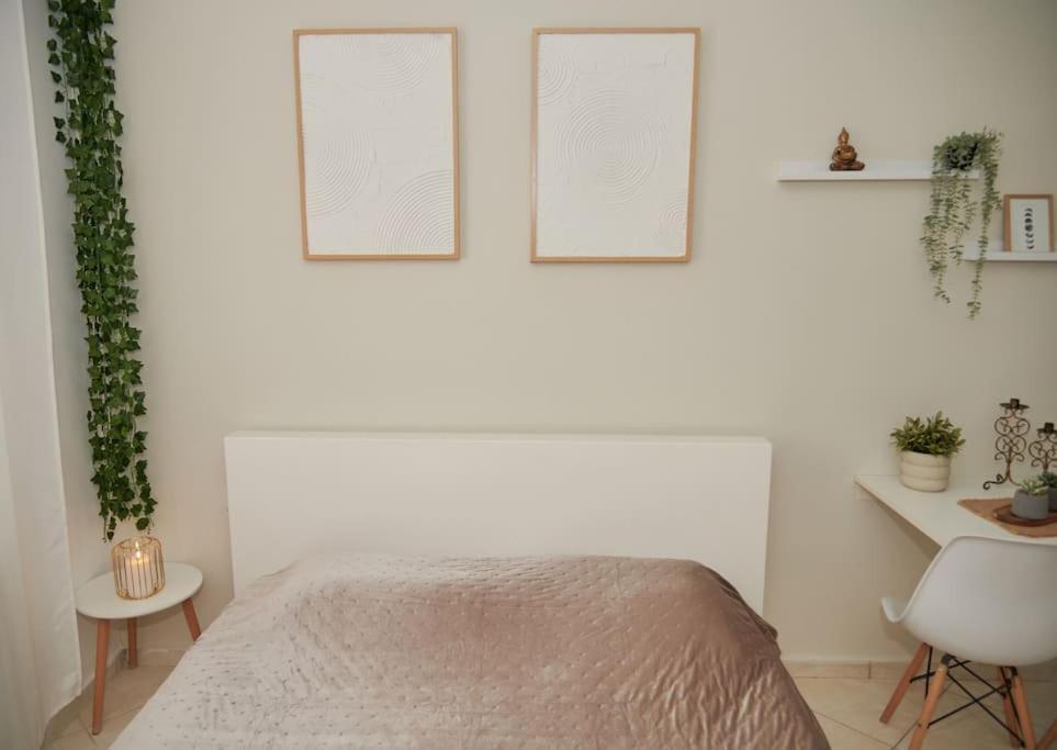 Florina Modern Studio Ngoại thất bức ảnh